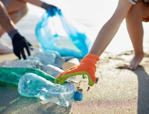 educação ambiental para crianças